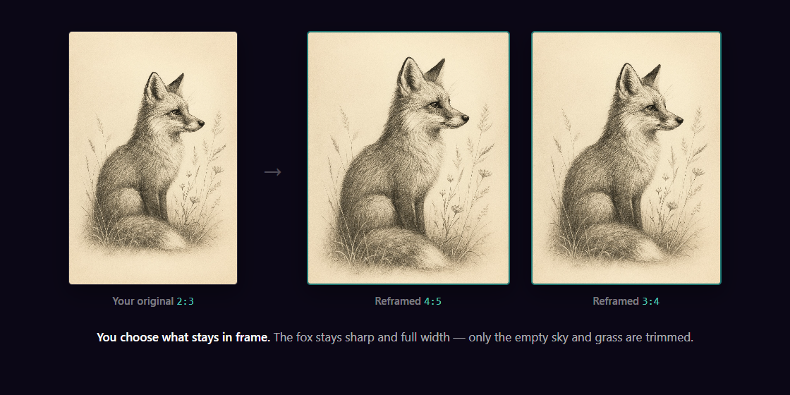 A 2:3 fox illustration reframed to 4:5 and 3:4 with Perfect Fit — the fox stays sharp and full width while the empty sky and grass are trimmed.