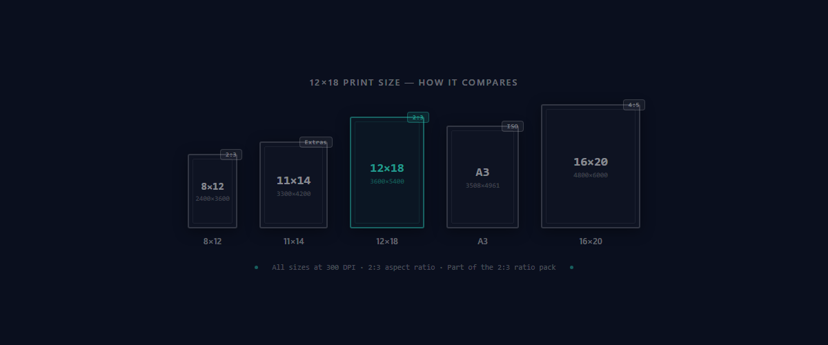 12×18 print size comparison with 8×12, 11×14, A3, and 16×20