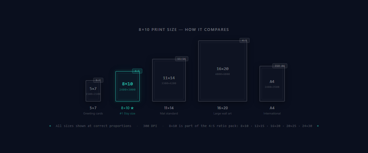 8×10 print size comparison showing how it compares to 5×7, 11×14, 16×20, and A4 at correct proportions