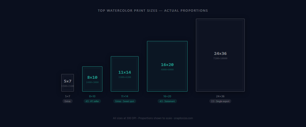 Top watercolor print sizes compared at actual proportions — 5×7, 8×10, 11×14, 16×20, and 24×36 with pixel dimensions at 300 DPI
